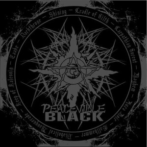 ดาวน์โหลดและฟังเพลง Freezing Moon พร้อมเนื้อเพลงจาก Mayhem