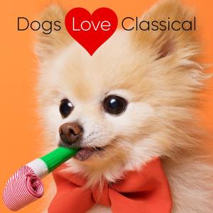 Dogs Love Classical的專輯Epic Classical Music for Dogs