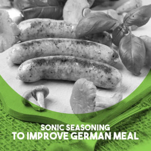 Various Artists的專輯Sonic Seasoning: to Improve a German Meal