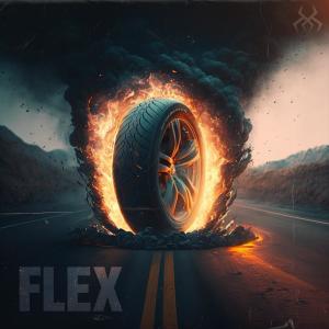 Album Flex (Explicit) oleh Cryptic Wisdom