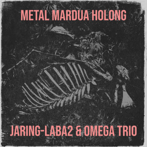 收聽Jaring-Laba2的Metal Mardua Holong歌詞歌曲