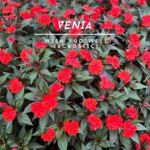 收聽Venia的wish you well (acoustic)歌詞歌曲