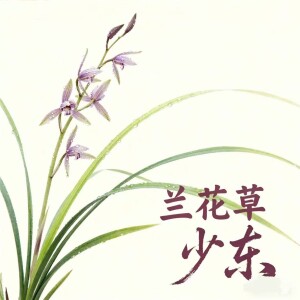 Album 兰花（DJ版） from 少东