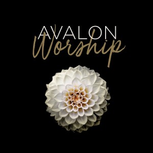 ดาวน์โหลดและฟังเพลง Tremble พร้อมเนื้อเพลงจาก Avalon