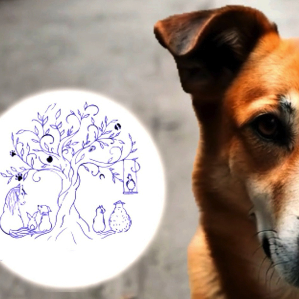 Terre animale