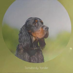 Listen to First Close song with lyrics from Sarty Erton