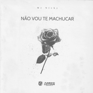 Listen to Não Vou Te Machucar song with lyrics from Mc Nicky