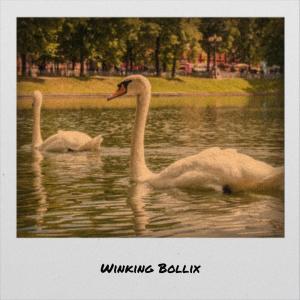 收听GAARA的Winking Bollix歌词歌曲