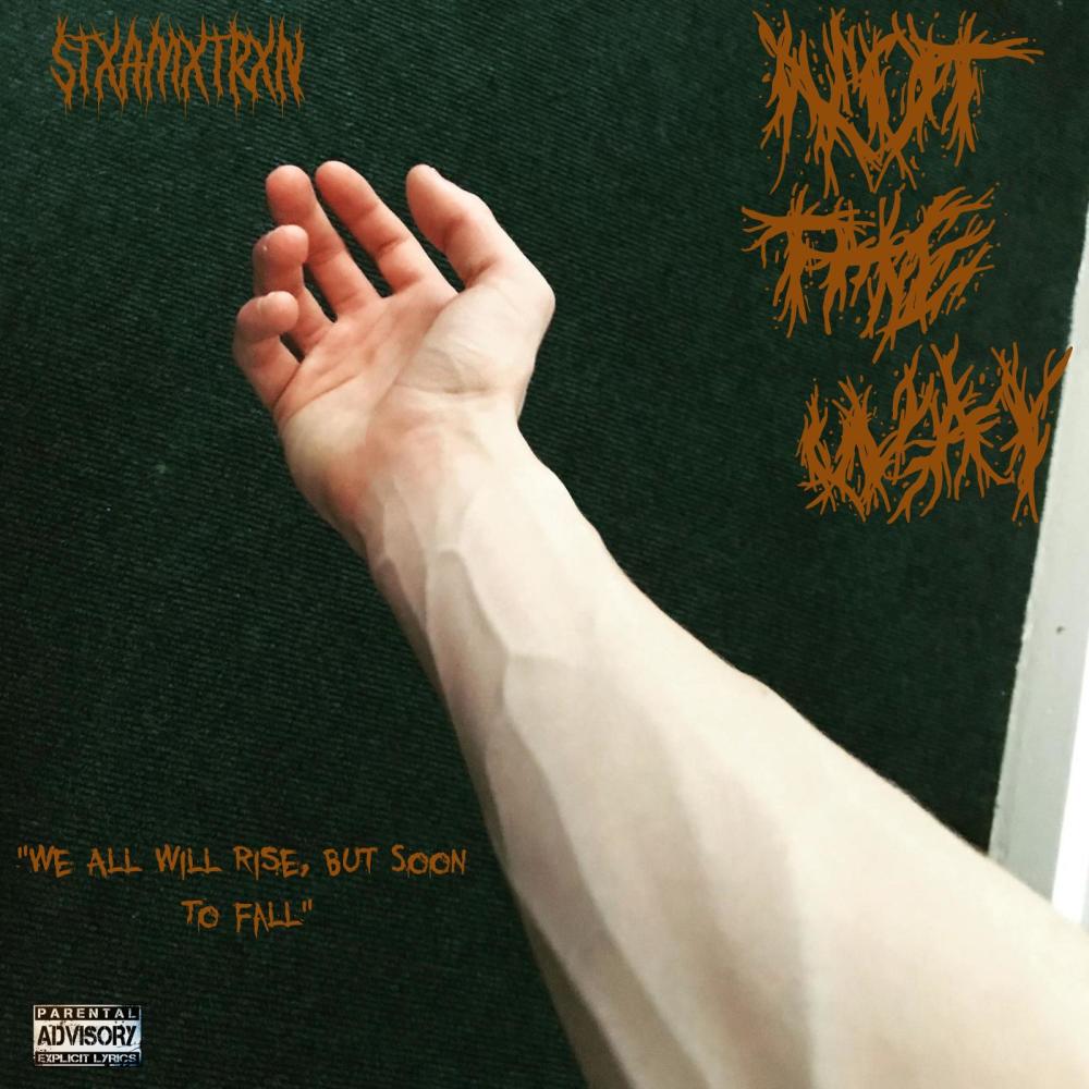 NOT THE WAY ("We All Will Rise, But Soon To Fall") (Explicit)