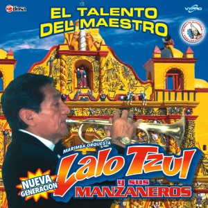 ดาวน์โหลดและฟังเพลง Mix de Boleros 2: Mil Besos / El Manicero พร้อมเนื้อเพลงจาก Marimba Orquesta Lalo Tzul y Sus Manzaneros