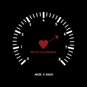 收听ANJE的Revolucionable歌词歌曲