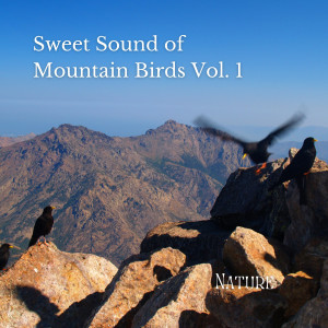 Nature: Sweet Sound of Mountain Birds Vol. 1