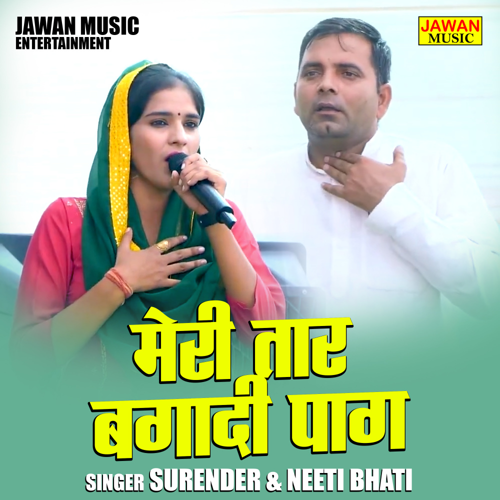 Meri Taar Bagadi Pag (Hindi)
