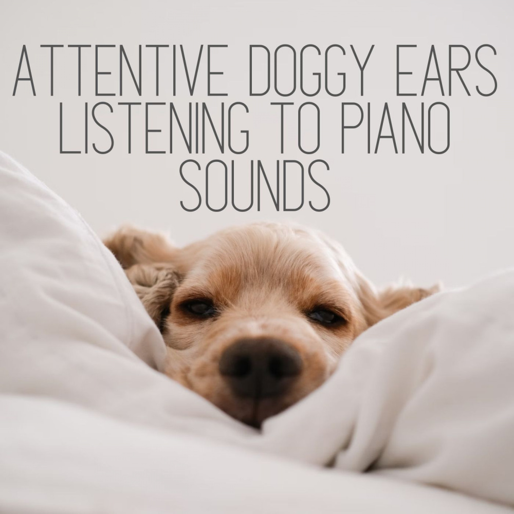 Tail Wagging Tunes for Canines