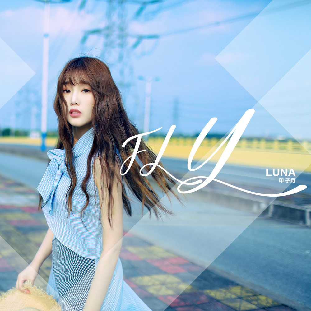 FLY (伴奏)