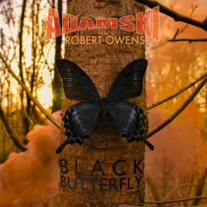 ดาวน์โหลดและฟังเพลง Black Butterfly (Mr. C Remix) พร้อมเนื้อเพลงจาก Adamski