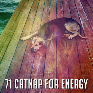 Sleep Baby Sleep的专辑71 Catnap for Energy