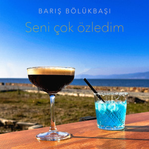 อัลบัม Seni Çok Özledim ศิลปิน Barış Bölükbaşı