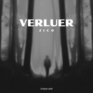 Zico的專輯Verluer