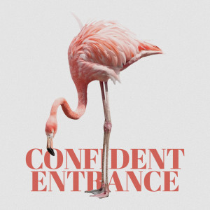 Stationary Sign的專輯Confident Entrance