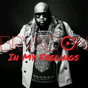 ดาวน์โหลดและฟังเพลง In My Feelings พร้อมเนื้อเพลงจาก Brandon
