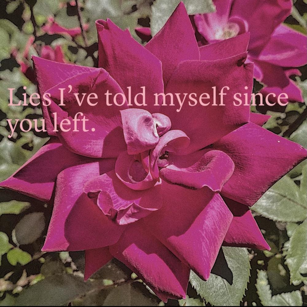 Lies I've told myself since you left (Explicit)