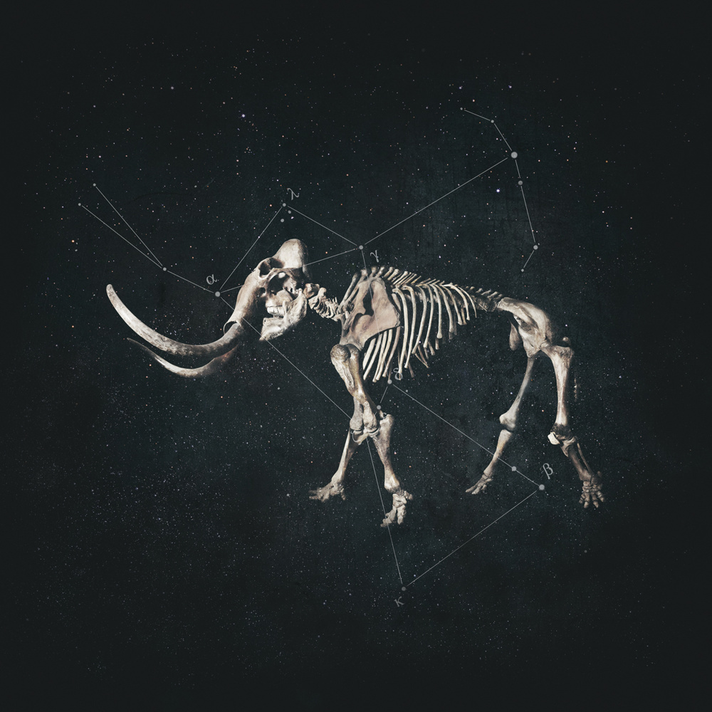 Hannibal (Remixed by Jupiter Lion)