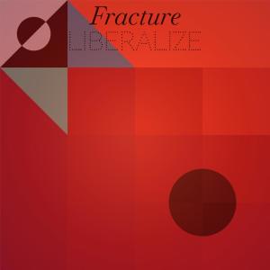 Various Artists的專輯Fracture Liberalize