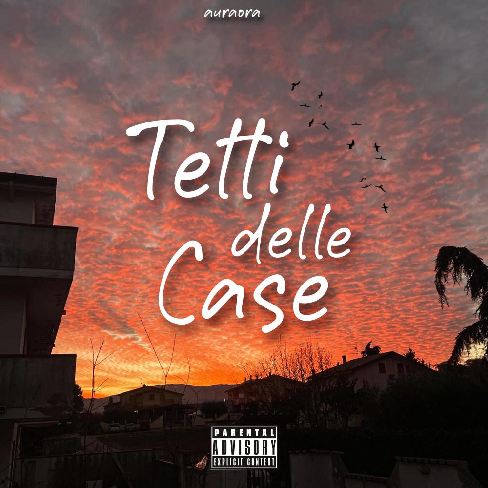 Tetti Delle Case