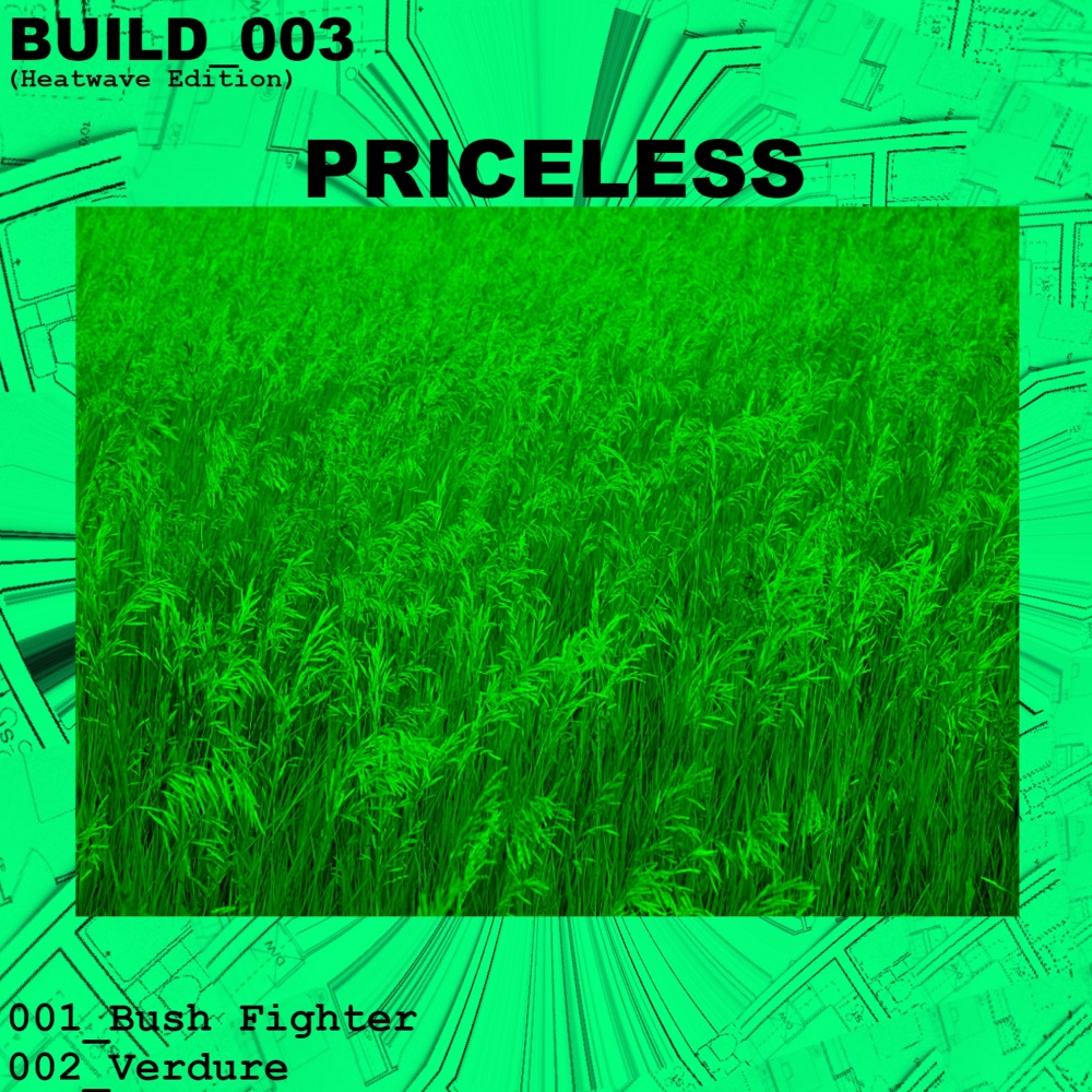 Bush Fighter