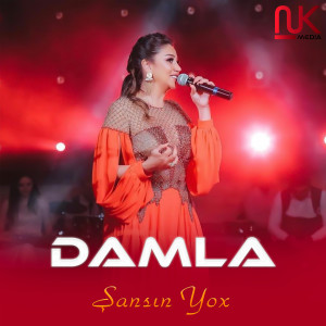 Album Şansın Yox from 