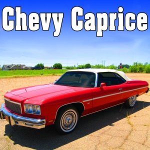 ดาวน์โหลดและฟังเพลง Chevy Caprice, Internal Perspective: Drives at a High Speed, Skids to a Stop, Idles & Shuts Off พร้อมเนื้อเพลงจาก Sound Ideas