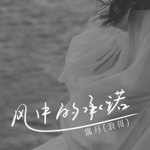 Album 风中的承诺 from 