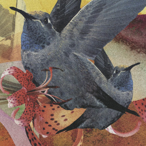 收聽Samuel Purdey的Bitter With The Sweet歌詞歌曲