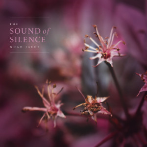 收听Noah Jacob的The Sound Of Silence歌词歌曲
