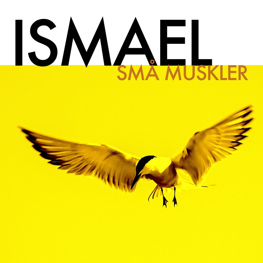 Små muskler