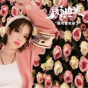 收听周典奥的我可喜欢你了歌词歌曲