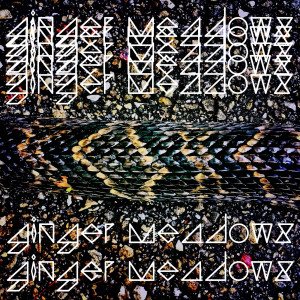 Dengarkan World Within the Earth lagu dari Ginger Meadows dengan lirik