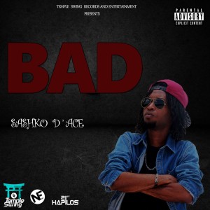 ดาวน์โหลดและฟังเพลง Bad (Explicit) พร้อมเนื้อเพลงจาก Sashko D'ace