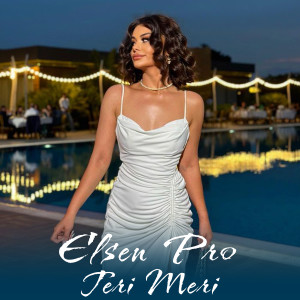 Dengarkan lagu Teri Meri nyanyian Elsen Pro dengan lirik