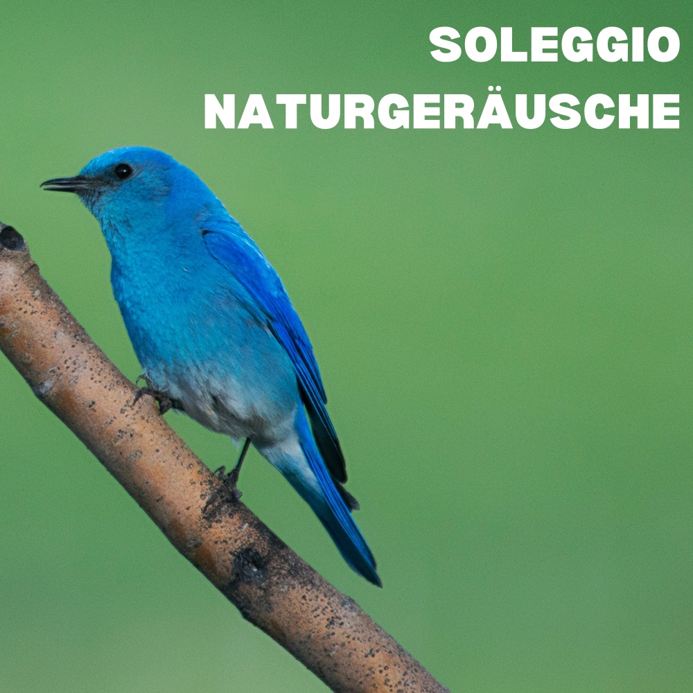 Rainfall in Solfeggio
