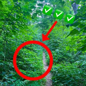 whogle1的專輯iwouldrecommendgoingoutside!!:D (Explicit)