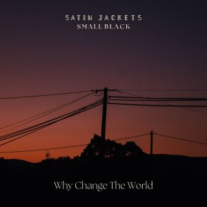 Album Why Change The World oleh Satin Jackets