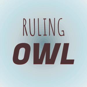 อัลบัม Ruling Owl ศิลปิน Various