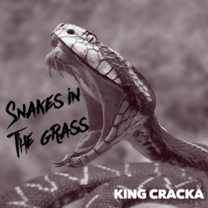 Dengarkan Snakes in the Grass (Explicit) lagu dari King Cracka dengan lirik