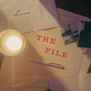 Album The File from Zara