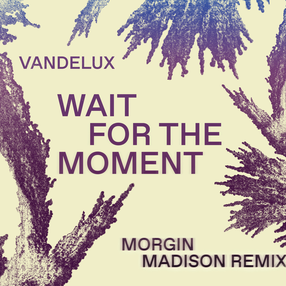 Wait For The Moment
