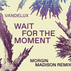 Vandelux的專輯Wait For The Moment (Morgin Madison Remix)