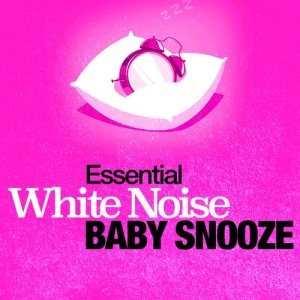 ดาวน์โหลดและฟังเพลง White Noise: Water Birds พร้อมเนื้อเพลงจาก Outside Broadcast Recordings
