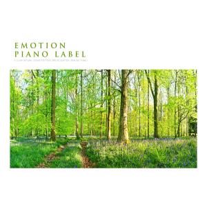 Listen to Trust Yourself Nature Version (Nature Ver.) song with lyrics from 신연주